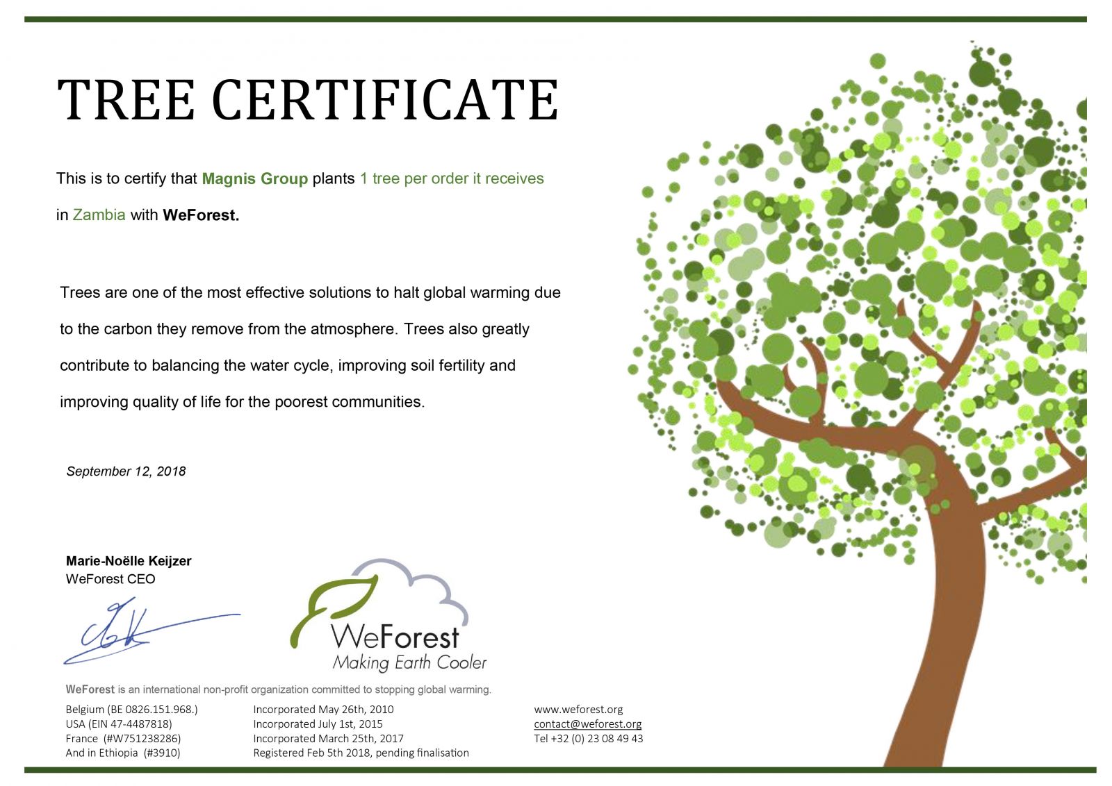 Together with WeForest, we care about the future | PrintSimple