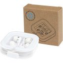 Bullet Baekdu wired Type-C earbuds with recycled plastic storage box