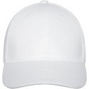 Elevate Life Davis 6 panel cap