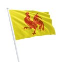 Flagge von Wallonien