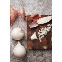 Vinga Cotomino end-grain cutting board, mini