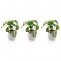 XD Collection flowerpot speaker