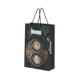 Bullet 170 g/m2 integra paper bag with plastic handles - large