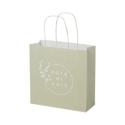 Bullet Kraft 120 g/m2 paper bag with twisted handles - small