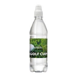 Drinks & More Quellwasser 500 ml mit Sportverschluss