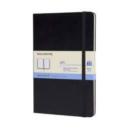 Moleskine large art sketchbook